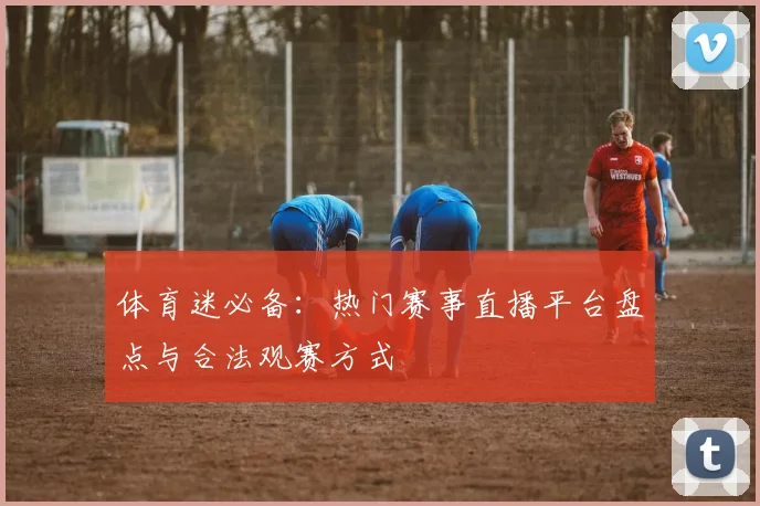 体育迷必备：热门赛事直播平台盘点与合法观赛方式